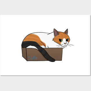 Cat in a Box Posters and Art